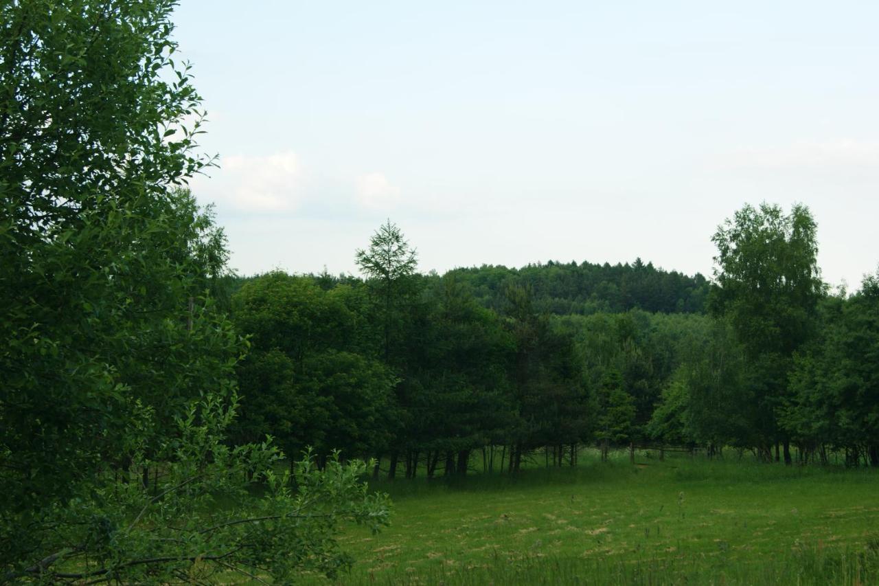 Siedlisko Blotnia Villa Mierzeszyn Bagian luar foto