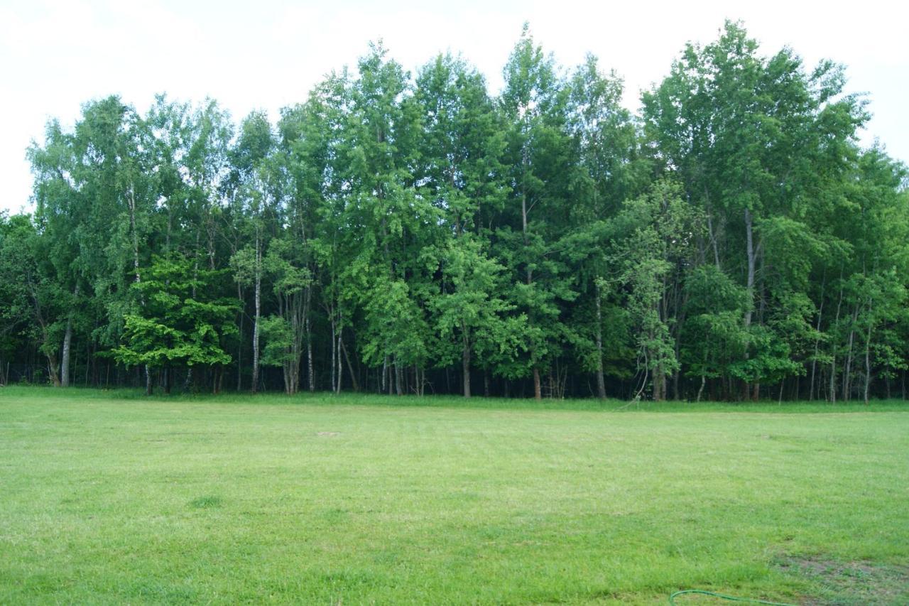 Siedlisko Blotnia Villa Mierzeszyn Bagian luar foto