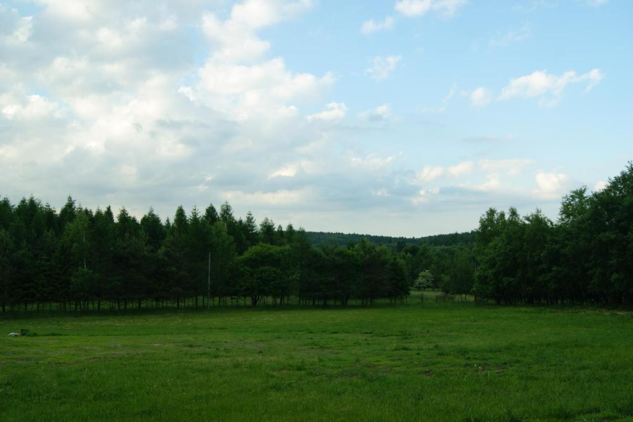 Siedlisko Blotnia Villa Mierzeszyn Bagian luar foto