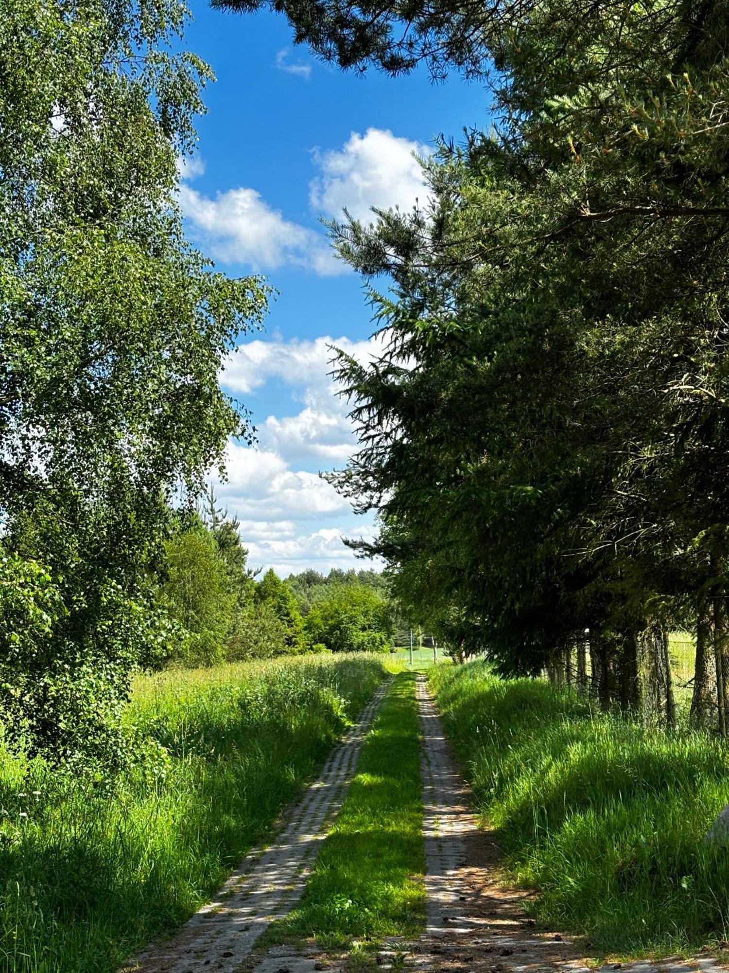 Siedlisko Blotnia Villa Mierzeszyn Bagian luar foto